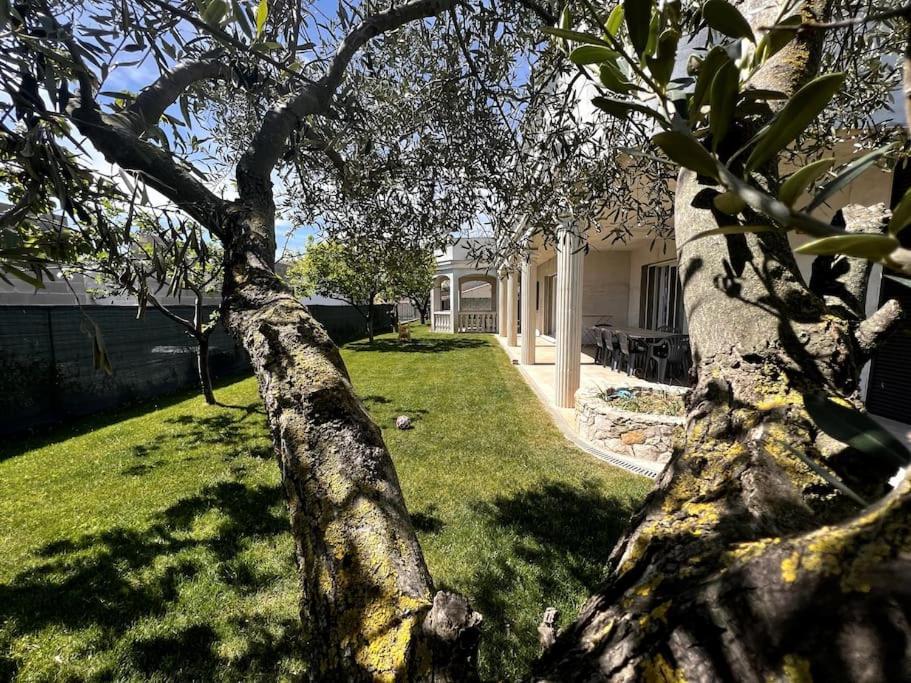 Saint-Laurent D'Aigouze : Appartement Avec Jardin Dış mekan fotoğraf